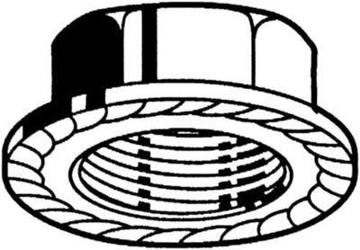 flensmoer vertand M6 D6923 klasse 8 elvz | 1000 Stuk stuks