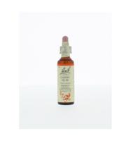 Bach Flower Remedies Kerspruim 06 - thumbnail