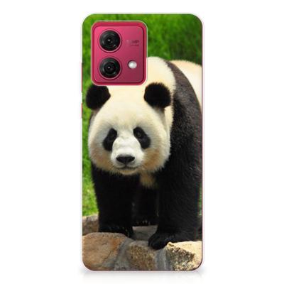 Motorola Moto G84 | TPU Hoesje | Panda Motorola Moto G84 | TPU Hoesje | Panda