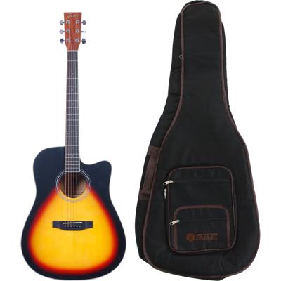 Fazley W70-DMSB ColourTune Dreadnought westerngitaar + gigbag