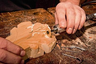 Dremel Fortiflex? (9100-21) | 300w - F0139100JA