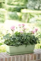 Barcelona trough saucer 70 pist.green schotel elho - Elho - thumbnail