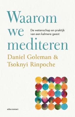 Waarom we mediteren - Daniël Goleman, Tsoknyi Rinpoche - ebook