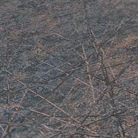 Livingwalls Metropolitan Stories. Travel Stories - Zwart - Metallic - 391775 - thumbnail