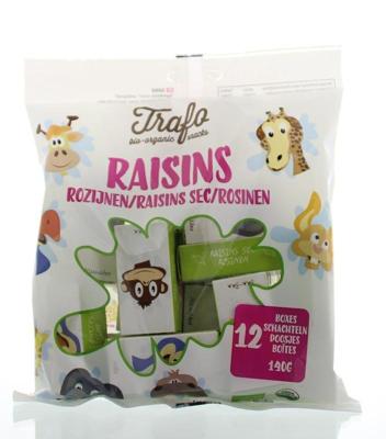 Trafo Rozijnen Kinder
