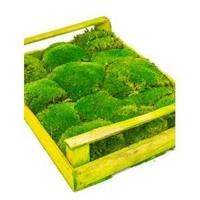 Bolmos 0,09 m2 - thumbnail