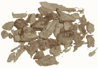 Wierookkruid Gemberwortel - thumbnail