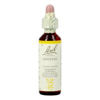 Bach Flower Remedie 12 Gentian 20ml - thumbnail