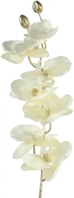 Countryfield kunsttak orchidee 80cm crème