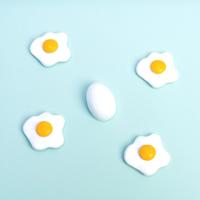 Ei magneten (set van 5) - thumbnail