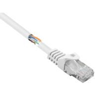 Renkforce RF-5043834 RJ45 Netwerkkabel, patchkabel CAT 5e U/UTP 0.25 m Wit Snagless 1 stuk(s) - thumbnail