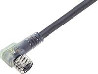 binder 79-3404-52-03 Sensor/actuator connector, geassembleerd M8 Aantal polen (sensoren): 4 Bus, haaks 2.00 m 1 stuk(s) - thumbnail