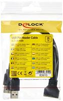 Delock USB 3.2 Gen 1 (USB 3.0) Adapter [2x USB 3.2 Gen 1 stekker A (USB 3.0) - 1x USB 3.2 Gen 1 stekker intern 19-polig (USB 3.0)] 83910 25.00 cm - thumbnail