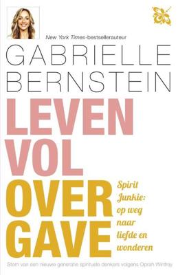 Leven vol overgave - Gabrielle Bernstein - ebook
