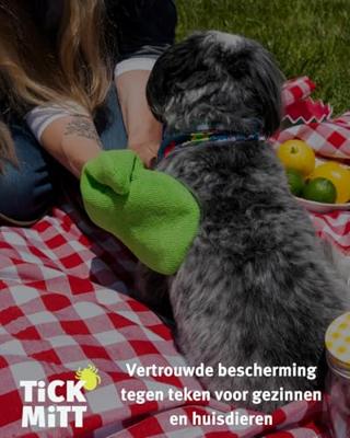 TiCK MiTT Tekenhandschoen Groen 1 stuk(s) - thumbnail