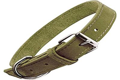 Hondenhalsband Gloria Oasis Groen (35 x 1,2 cm)