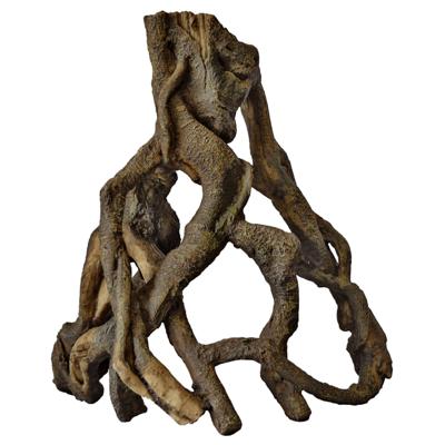 Superfish Mangrove root l l29b22h32cm