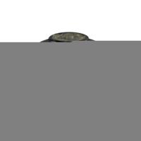 Veerpootvoering 31495 - thumbnail