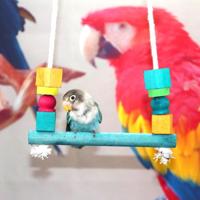 Parrot Squirrel Bite Wooden Suspension Bridge Swing Toy Bird Cage Stand - thumbnail