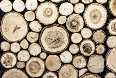 Schilderij - Hout stapel, bruin, 2 maten, Premium print