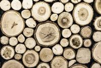 Schilderij - Hout stapel, bruin, 2 maten, Premium print - thumbnail