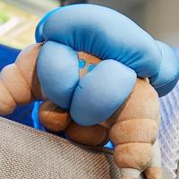 Destiny Pluche - Screeb Hatchling - thumbnail