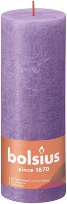 Stmpk rstk shine d6.8h19cm v.violet