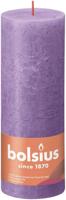 Stmpk rstk shine d6.8h19cm v.violet - thumbnail