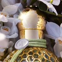Guerlain Aqua Allegoria Harvest Nerolia Vetiver 125ml - thumbnail