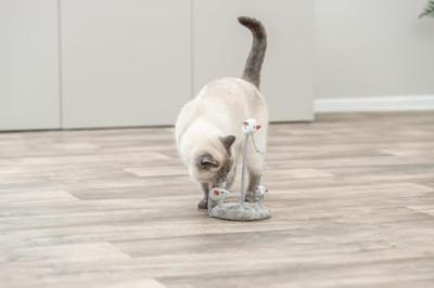 Kattenspeeltje Trixie Polyester Pluche Ø 15 × 22 CM - thumbnail