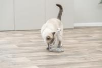 TRIXIE MUIZEN OP SPIRAALVEREN PLUCHE MET CATNIP 22X15X15 CM 2 ST - thumbnail