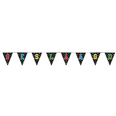 Vlaggenlijn geslaagd holografisch