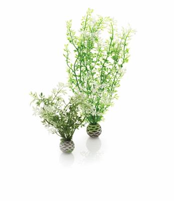 Aquariumtoebehoren winterbloem set 2 biOrb - Biorb