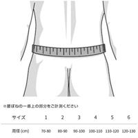 Bauerfeind LumboTrain (VERNIEUWD) Rugbandage - 5 - Grijs - Straight - thumbnail
