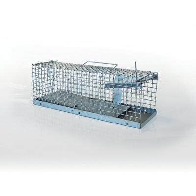 BSI rattenvangkooi gegalvaniseerd