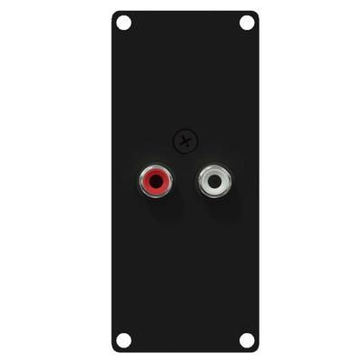 Caymon CASY132/B 2x RCA naar 2x 3pins terminal block module voor CASY-chassis Caymon CASY132/B 2x RCA naar 2x 3pins terminal block module voor CASY-chassis