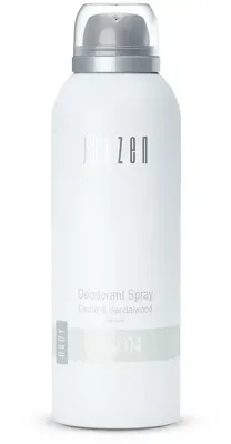 JANZEN Deodorant Spray Grey 04 150ml