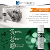 Dermoscent Pyoclean Shampoo Hond Kat Fl 200ml - thumbnail