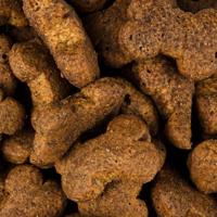 CARNILOVE CRUNCHY SNACK LAM / CRANBERRIES 200 GR - thumbnail