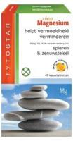 Fytostar Magnesium Kauwtabletten - thumbnail