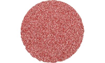 PFERD TOOLS CD 50 A 36 FORTE 42751503 Schuurblad Korrelgrootte (num) 36 (Ø) 50 mm 100 stuk(s)