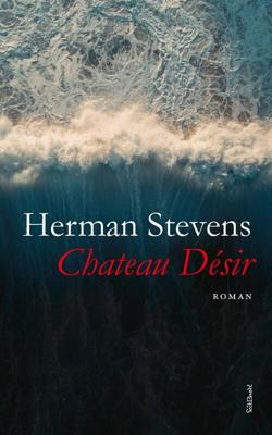 Chateau Désir - Herman Stevens - ebook
