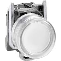Schneider Electric XB4BP183M5EX XB4BP183M5EX Verlichte druktoets 600 V 6 A Moment IP65 1 stuk(s) - thumbnail
