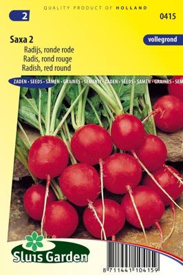 Radijs zaden Saxa 2
