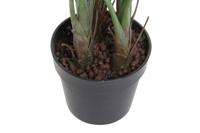 Decoratieve plant DKD Home Decor PVC Plastic 100 x 100 x 145 cm - thumbnail