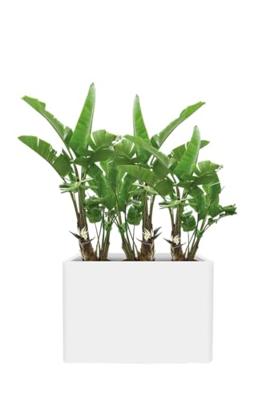 Elho Soft Brick 80x59x30cm rechthoekige plantenbak wit Elho Soft Brick 80x59x30cm rechthoekige plantenbak wit
