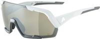 Olympic Sportswear Alpina sports sportbril rocket q-lite mat grijs - thumbnail
