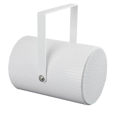 DAP PSU-620M 20 Watt 6 inch unidirectionele 100V luidspreker