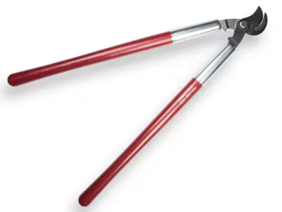 Freund Takkenschaar 12a1