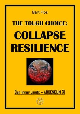 The Tough Choice: Collapse Resilience - Bart Flos - ebook